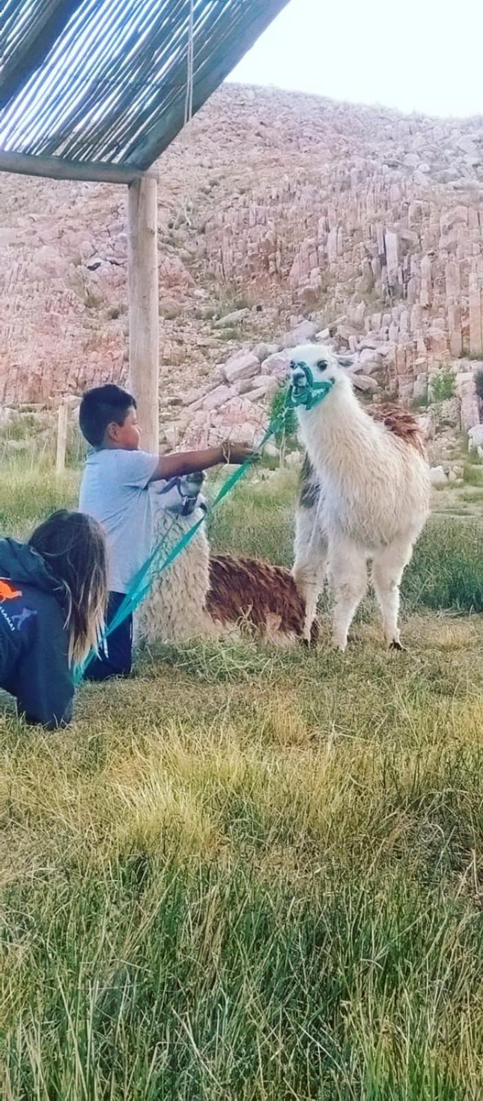Cabana Huasi Rumi Abra Pampa Esterno foto